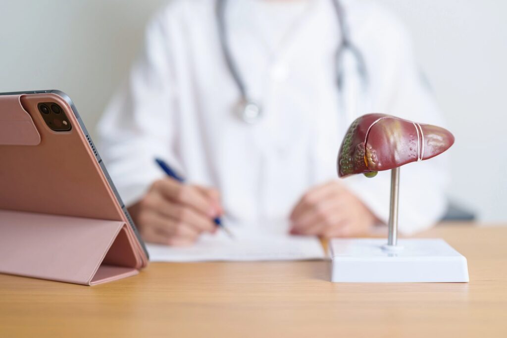 Un modello anatomico del fegato sulla scrivania del medico